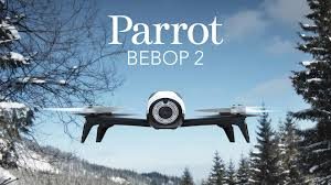 fantastic Parrot Bebop 2