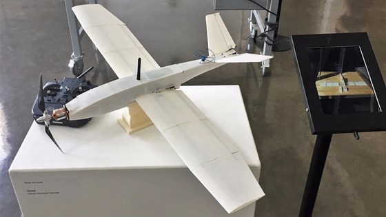 3D printed drone